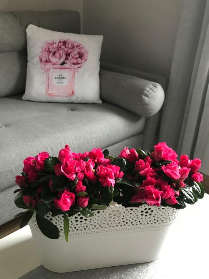 Glamour Apartment Przy Plazy, Z Parkingiem Prywatnym Sopot Kültér fotó